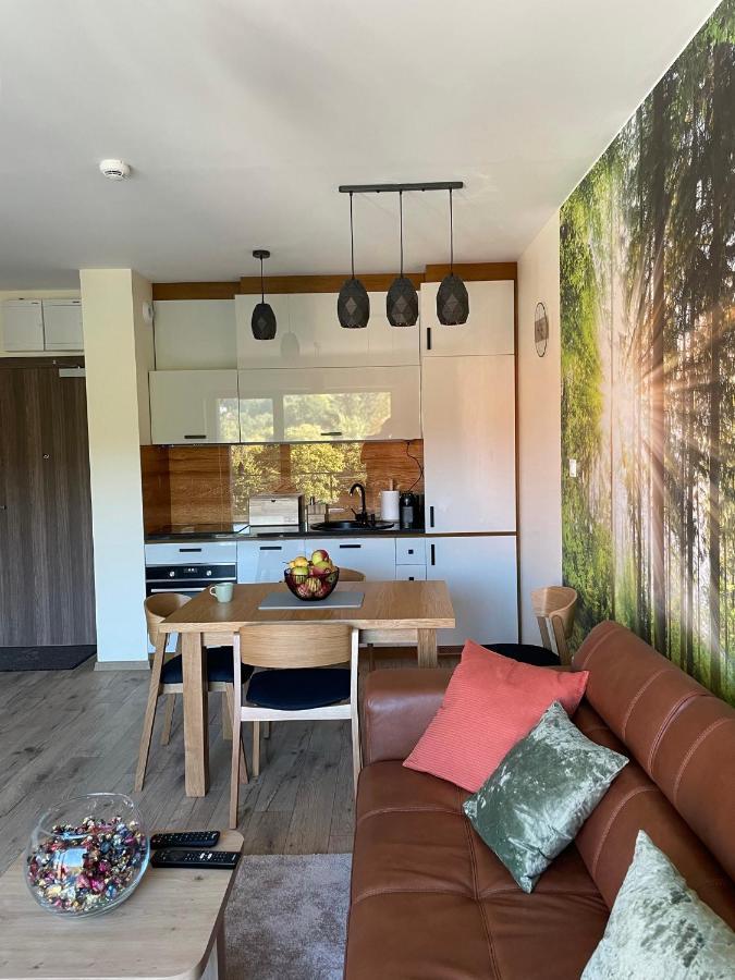 Apartament Delux 2 Szklarska Poręba Exteriör bild